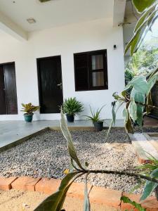 a room with potted plants in front of a house at Lucky Eagle Nest in Tangalle