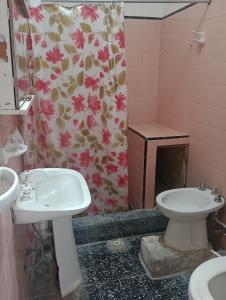 a bathroom with a sink and a toilet and a shower at La casita lila in Mar de Ajó