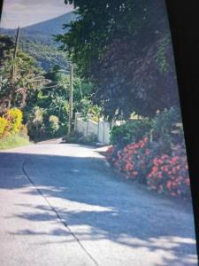 a road with flowers on the side of the road at Jolly's Mountain Side Guest House in Roseau