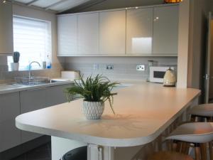 a kitchen with a table with a potted plant on it at Sandy Creek Cottage - E5349A in Anderby