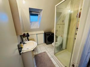 a bathroom with a shower and a sink and a toilet at Close to Disney & Paris in Lagny +9 photos