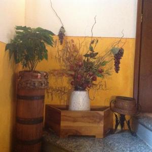 グランドラ・エドゥニーティにあるAgriturismo Barcolaの白花瓶