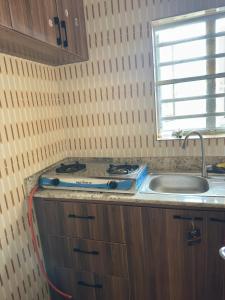 a kitchen with a stove and a sink at Tranquil in Lekki