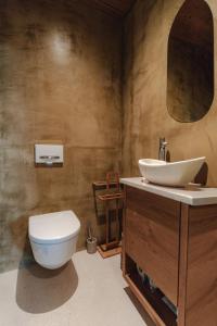 a bathroom with a toilet and a sink at Vila Podigrac in Zgornja Kungota