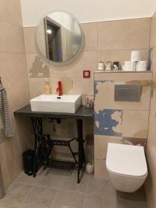 a bathroom with a sink and a mirror and a toilet at Apartmán Ateliér in Bílé Vchynice +68 photos