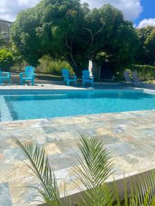 a swimming pool with blue chairs and a tree at Coco-orchidées Le Domaine Mannou in Sainte-Rose