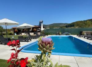 a swimming pool with a flower in front of it at Hanul Conitei in Sovata