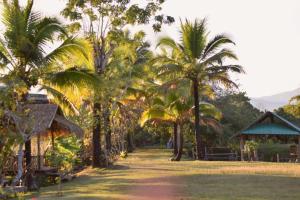 a group of palm trees next to a house at Wichouda Cottage - Self Check-in in Chiang Dao