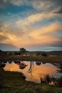 a body of water in a field with a sunset at Bateleur Nature Reserve & Stamvrug Hiking Trails in Modimolle