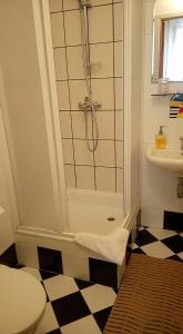 a bathroom with a shower and a toilet and a sink at Litinterp Host in Vilnius