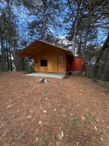 a wooden cabin in the middle of a forest at Cabaña en el Rancho in San Jose del Pacifico
