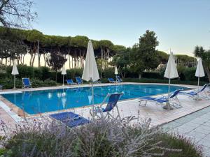 a swimming pool with chairs and umbrellas at Residence Prestige - Pineto Vacanza in Pineto