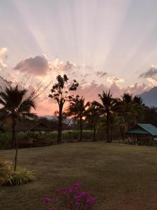 a group of palm trees in a park with a sunset at Wichouda Cottage - Self Check-in in Chiang Dao