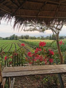 a wooden bench sitting under a hut in a field of flowers at Wichouda Cottage - Self Check-in in Chiang Dao