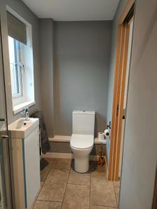 a bathroom with a white toilet and a sink at Townfield Lodge in Bury Saint Edmunds