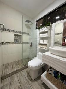 a bathroom with a toilet and a shower and a sink at Casa Jardin BV in San Antonio +18 photos