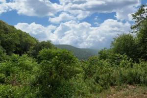 a view of the mountains from a field of trees at Mountain Paradise by Railey Vacations in Friendsville