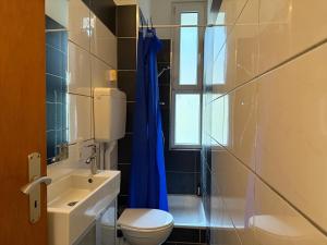 a bathroom with a toilet and a blue shower curtain at Gemütliche Unterkunft Sankt Blasien in St. Blasien