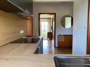 a kitchen with a counter top and a mirror at Apartmenthaus Eisenstraße in Lunz am See +30 photos