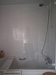 a shower with a glass door in a bathroom at St Nicholas Number 5 in Turnberry