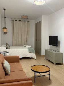 a living room with a bed and a couch and a tv at Apartamentos Turísticos La Terraza* in Las Cabezas de San Juan
