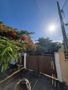 a person standing in front of a fence with flowers at Cantinho do tricolor in Saquarema +5 photos
