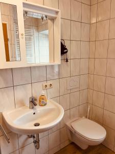 a bathroom with a sink and a toilet at Appartement Gombotz in Halbenrain +6 photos