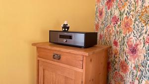 a small figurine sitting on top of a tv on a cabinet at Das Blaue Haus - jetzt mit Sauna in Pirmasens