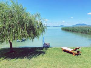 a bench sitting on the grass next to a lake at BALATON A KERTBEN - BALATON IN THE GARDEN - Beachfront villas with beautiful view, private beach in Balatonfenyves