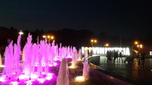 ヴィーンヌィツャにあるApartments in Centerの夜の公園のピンクの灯りを持つ噴水