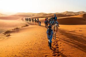 a group of people riding horses in the desert at Merzouga Luxury Tents & Activities in Merzouga