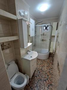 a bathroom with a toilet and a sink and a shower at "NIB's apartment" in Caransebeş