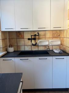 a kitchen with white cabinets and a sink at Lago Maina Appartamenti in Sauris +114 photos