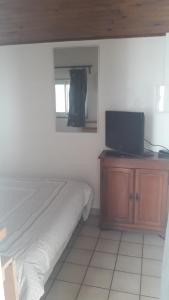 a bedroom with a bed and a tv on a cabinet at mini maison mini budget in Soulac-sur-Mer