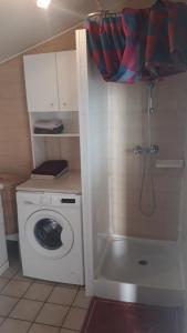 a bathroom with a washing machine and a shower at mini maison mini budget in Soulac-sur-Mer +4 photos