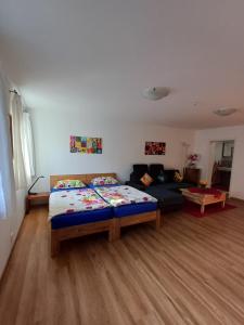 a living room with a bed and a couch at Charme Appartment in Freiburg im Breisgau