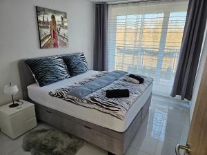 a bed in a room with a window and a bed sidx sidx sidx at APARTMÁNY I&V - Adults Only in Pilsen