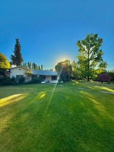 a yard of a house with a string in the grass at Chacra Los Cipreses - Casa completa con gran parque arbolado, 6 personas, entorno tranquilo in Cinco Saltos