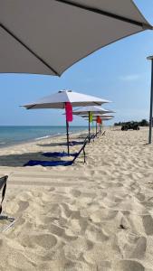a row of umbrellas on a sandy beach at Amotape Hotel in Zorritos