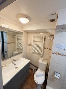 a bathroom with a white toilet and a sink at Hotel Le Divona "au coeur de Divonne" in Divonne-les-Bains
