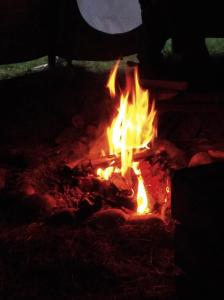 a fire burns in a fire pit at night at Fort Wapiti in Zalasowa