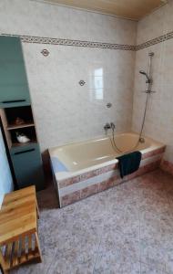 a bathroom with a bath tub with a shower at Ferienwohnung Renner in Kurort Altenberg +28 photos