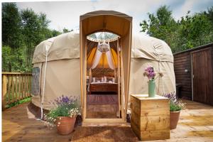 a gazebo on the deck of a house at Hazel Tree Yurt - Eavestone Lake in Grantley +7 photos