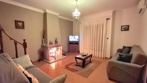 a living room with a fireplace and a tv at Varandas do Dão & Estrela in Pardieiros