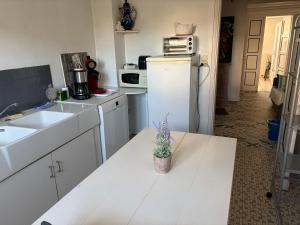 a kitchen with a white refrigerator and a potted plant on a table at Sérénité in Biscarrosse
