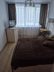 a bedroom with a bed and a desk and a window at Cozy Žemaitės gatvė in Telšiai