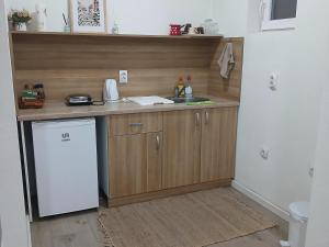 a small kitchen with a sink and a refrigerator at Apartman studio Ðorović 1 in Postenje +4 photos
