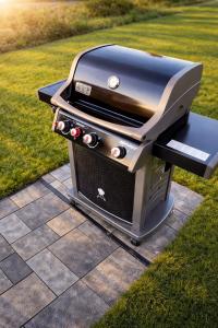 a grill sitting on a patio in the grass at Villa Silbermöwe in Trent