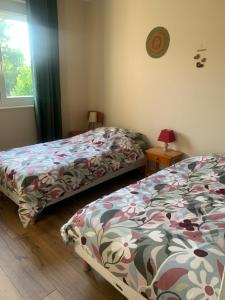a bedroom with two beds and a window at Gîte le Haut de la Marche in La Lanterne-et-les-Armonts