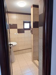 a bathroom with a toilet and a sink at Cazare & Restaurant Dalia in Socodor +19 photos